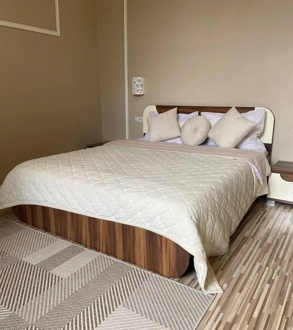 Bright Apartment In The Very Centre Lviv Ukraine
